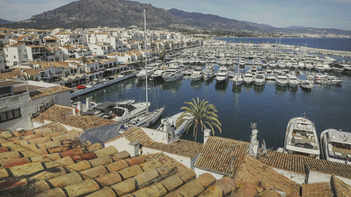 Two Swedish men sentenced after scamming fellow Swedes of 32 million kronor in real estate