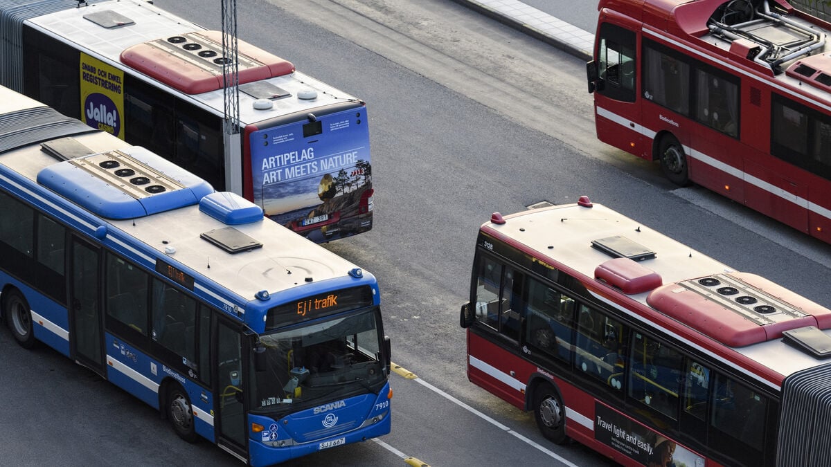 Researchers: Halving monthly pass prices will increase demand for public transport