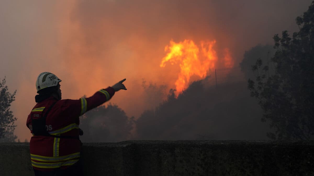 Foreign reinforcements arrive as wildfire in Portugal grows to 12,000 hectares