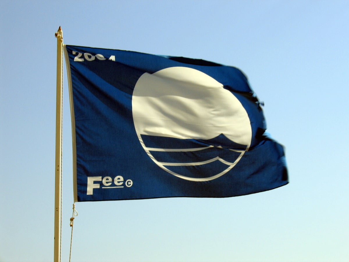 Blue Flag Awarded to 13 Swedish Harbors and 8 Beaches This Year