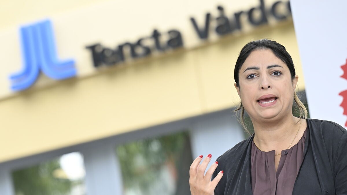 Left Party wants to end privatization in healthcare, exclude for-profit providers