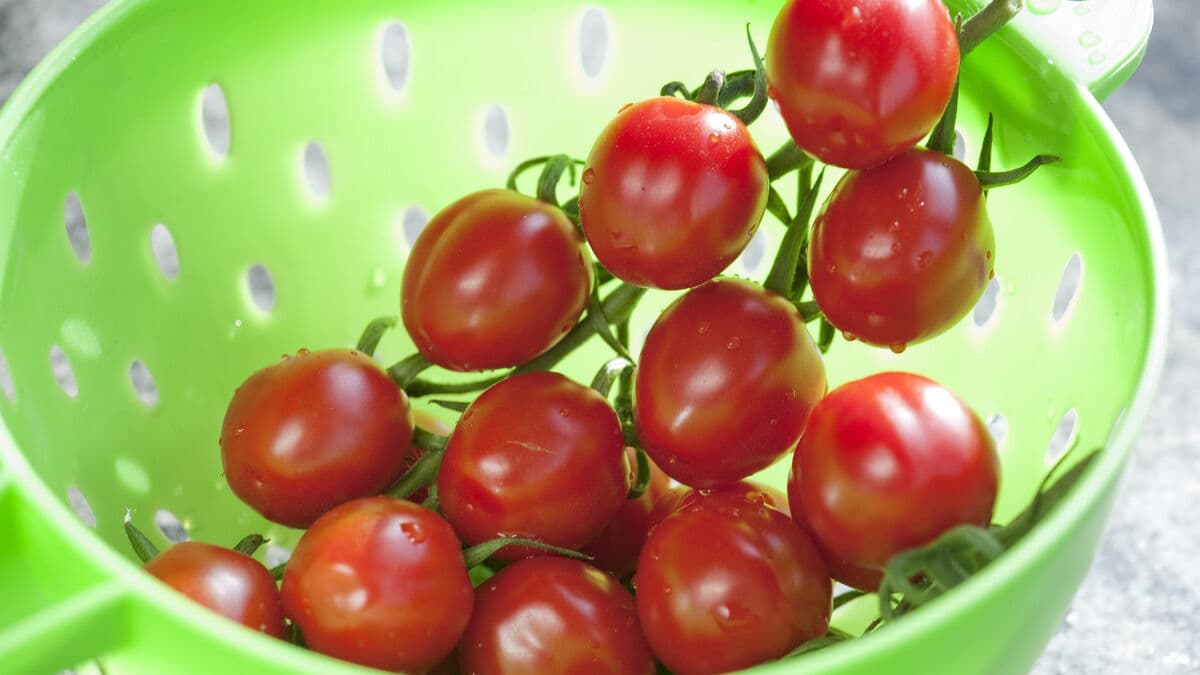 EU expected to propose ban on PFAS in everyday products