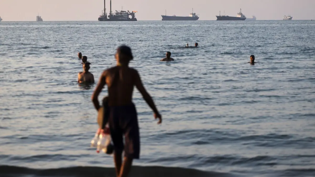 Scientists warn stranded ships in Strait of Hormuz could spread invasive species