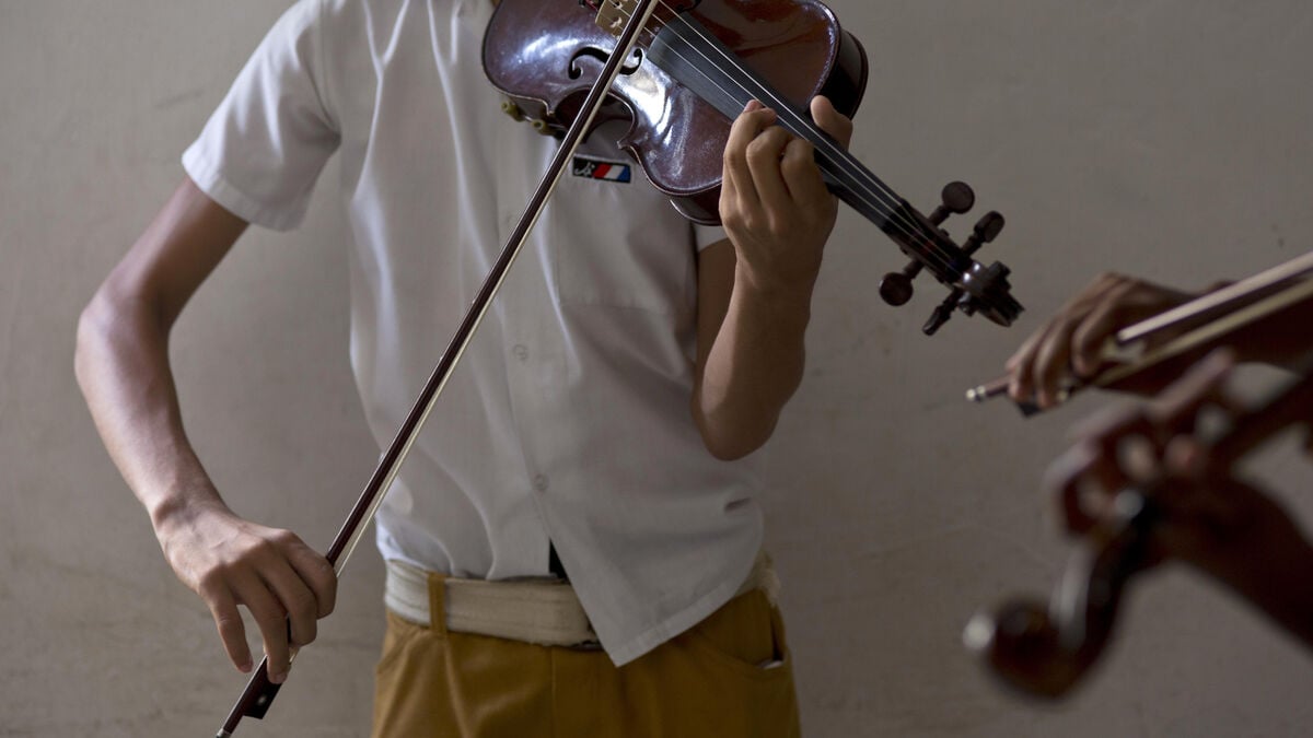 Primary schools can receive cutting-edge education in music