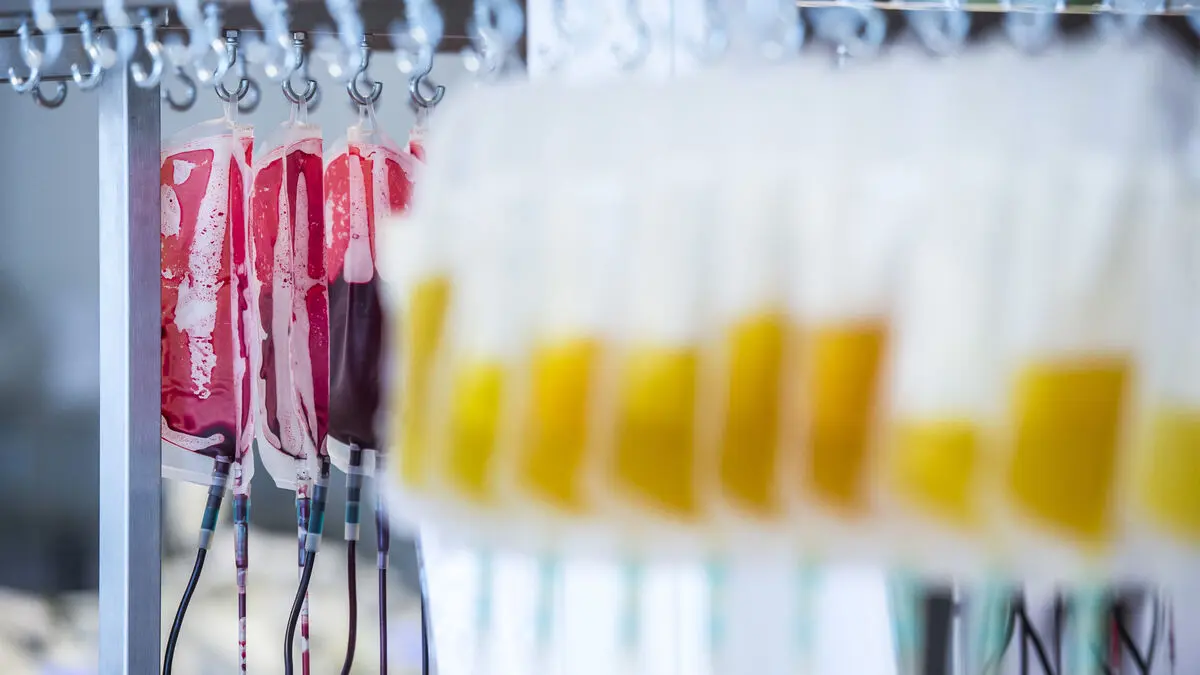 Jehovah's Witnesses Ease Blood Ban Further, Allow Some Blood Products