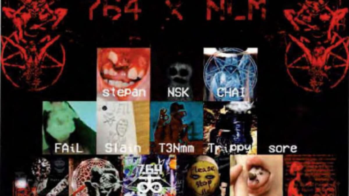 Author says 764 online violence network will live on after Chai conviction