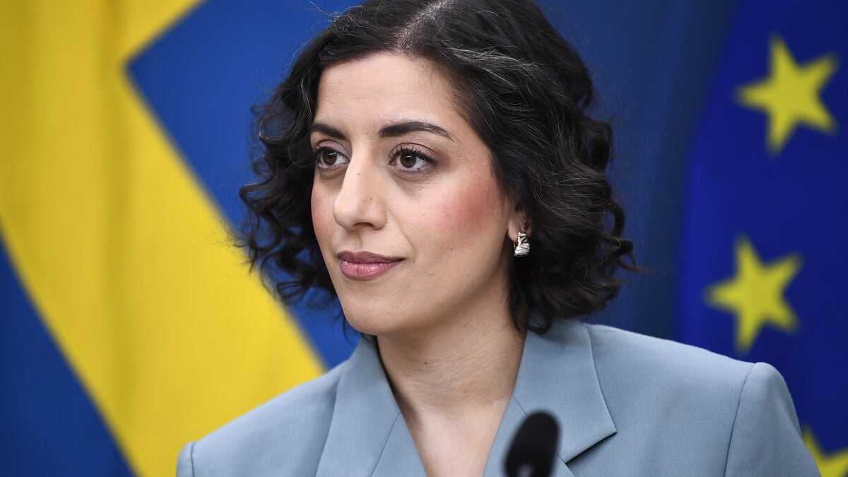 Liberal Party leader Simona Mohamsson does not want to revoke permanent residence permits
