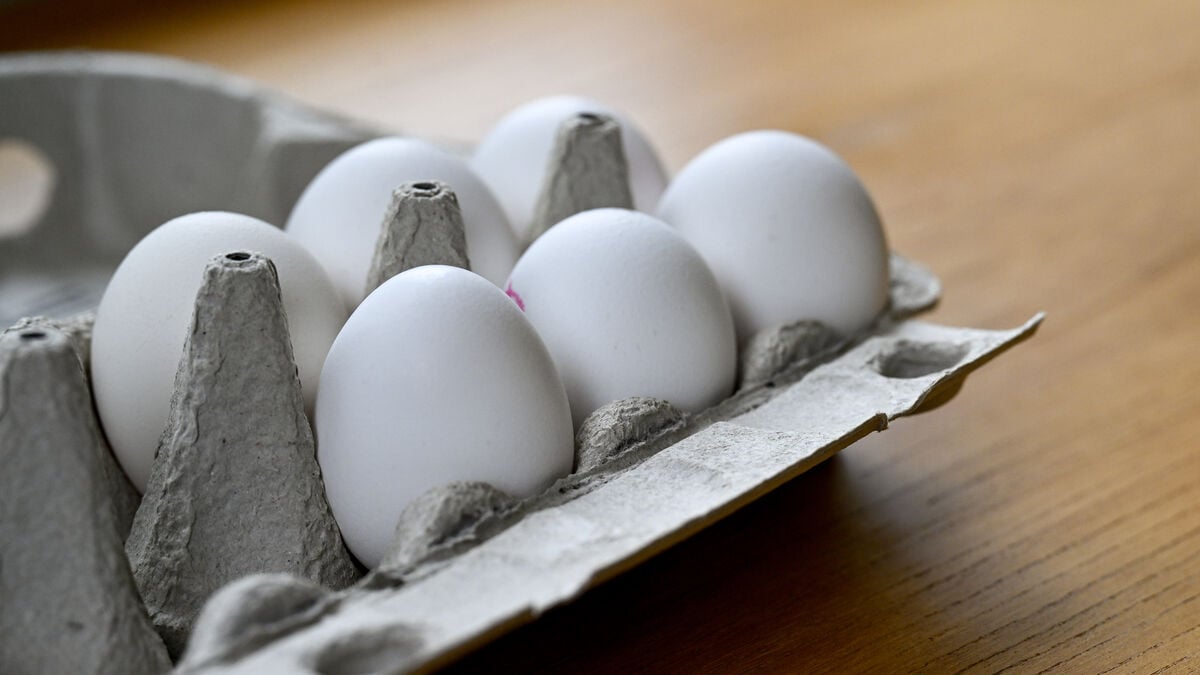 Supplier recalls eggs - risk of salmonella