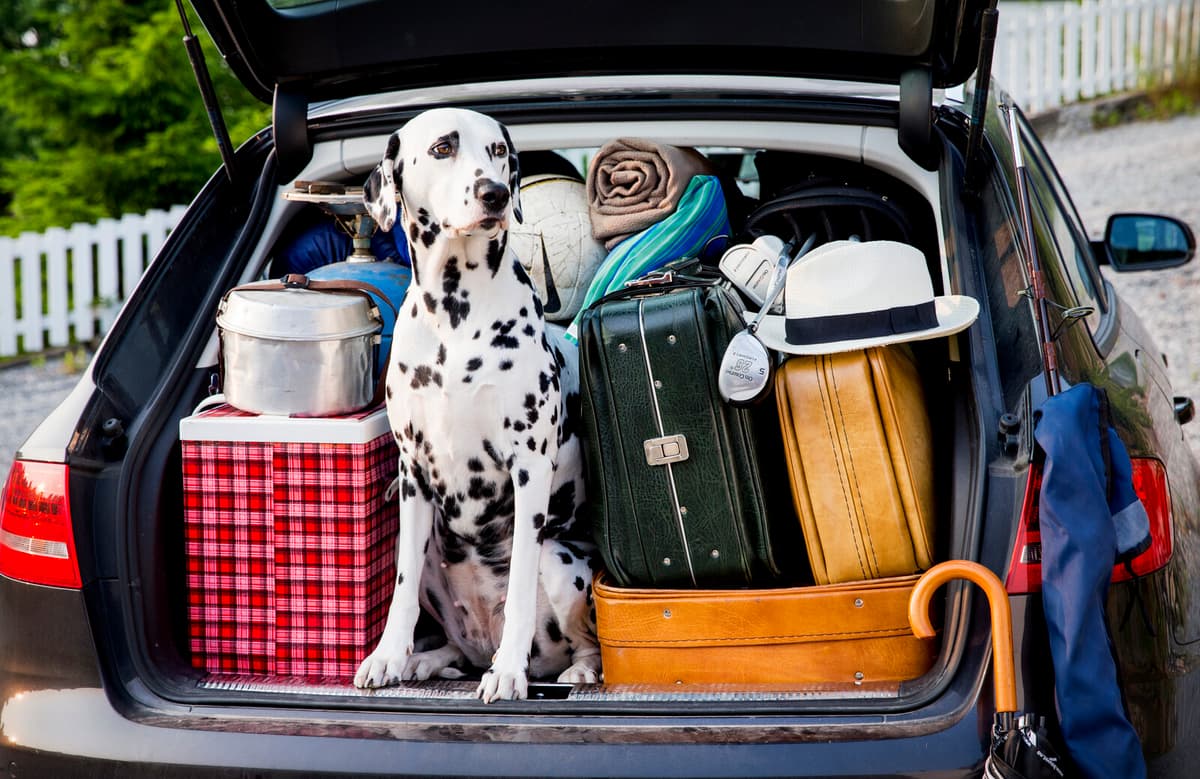 Avoid These Mistakes on Your European Car Vacation