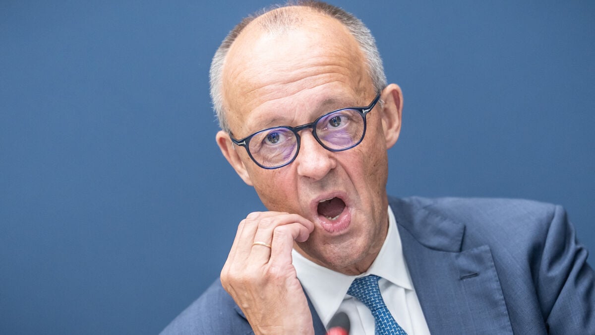 Merz deeply shocked after AfD landslide in Saxony-Anhalt state election