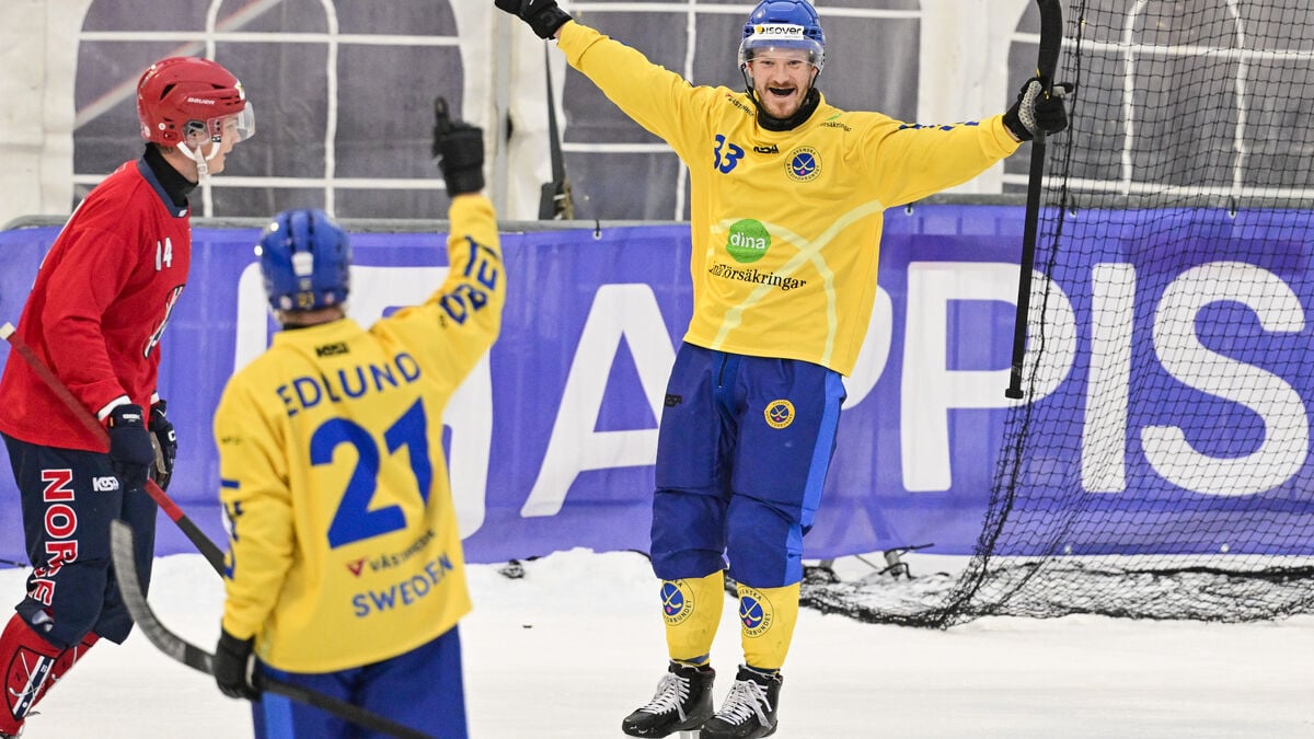 Sweden reach bandy World Cup final after 8–2 semi-final win over Norway
