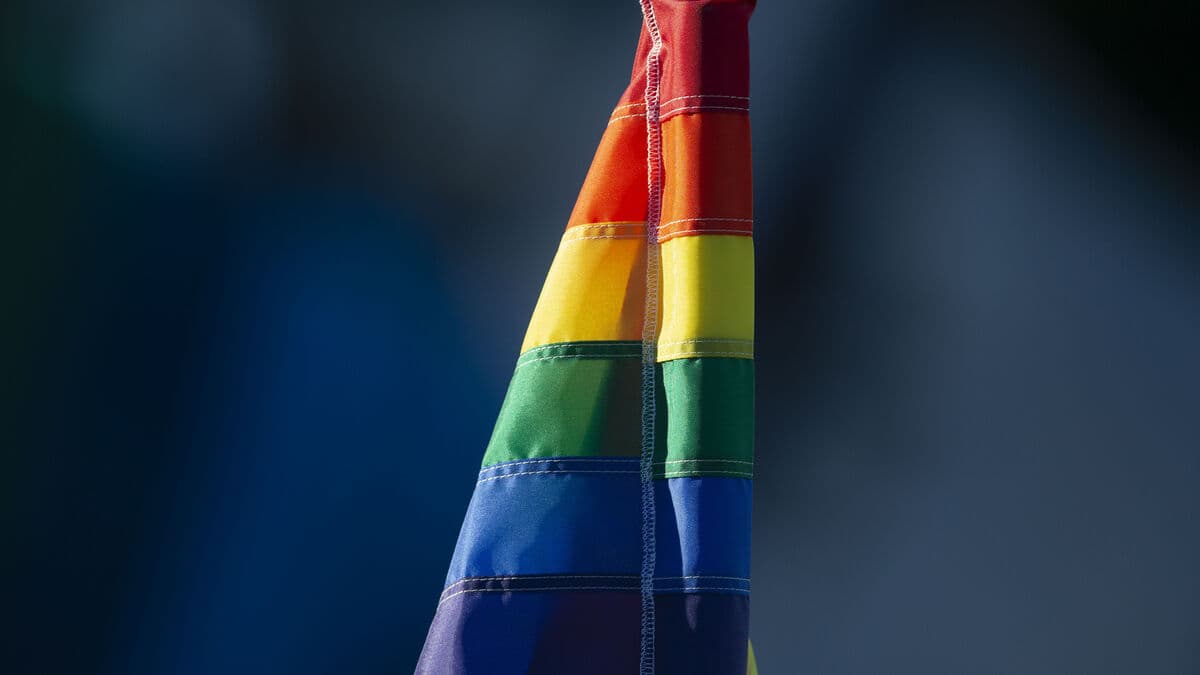 Met with vomit emojis and mockery - support helps LGBTQI people online