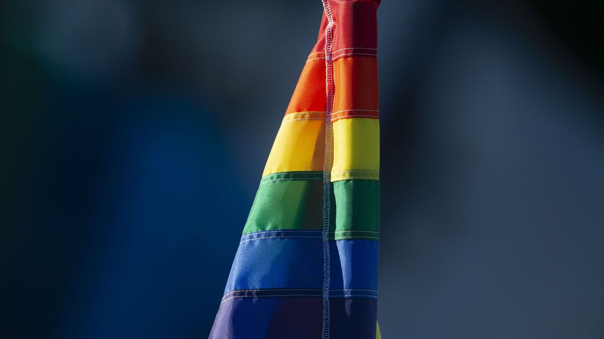 Met with vomit emojis and mockery - support helps LGBTQI people online