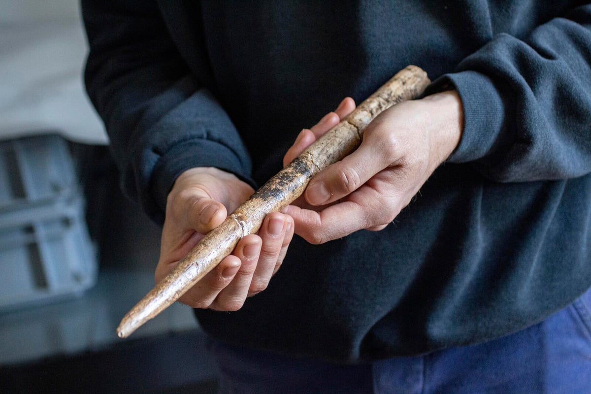 Whalebone Tools Date Back 20000 Years, New Research Reveals