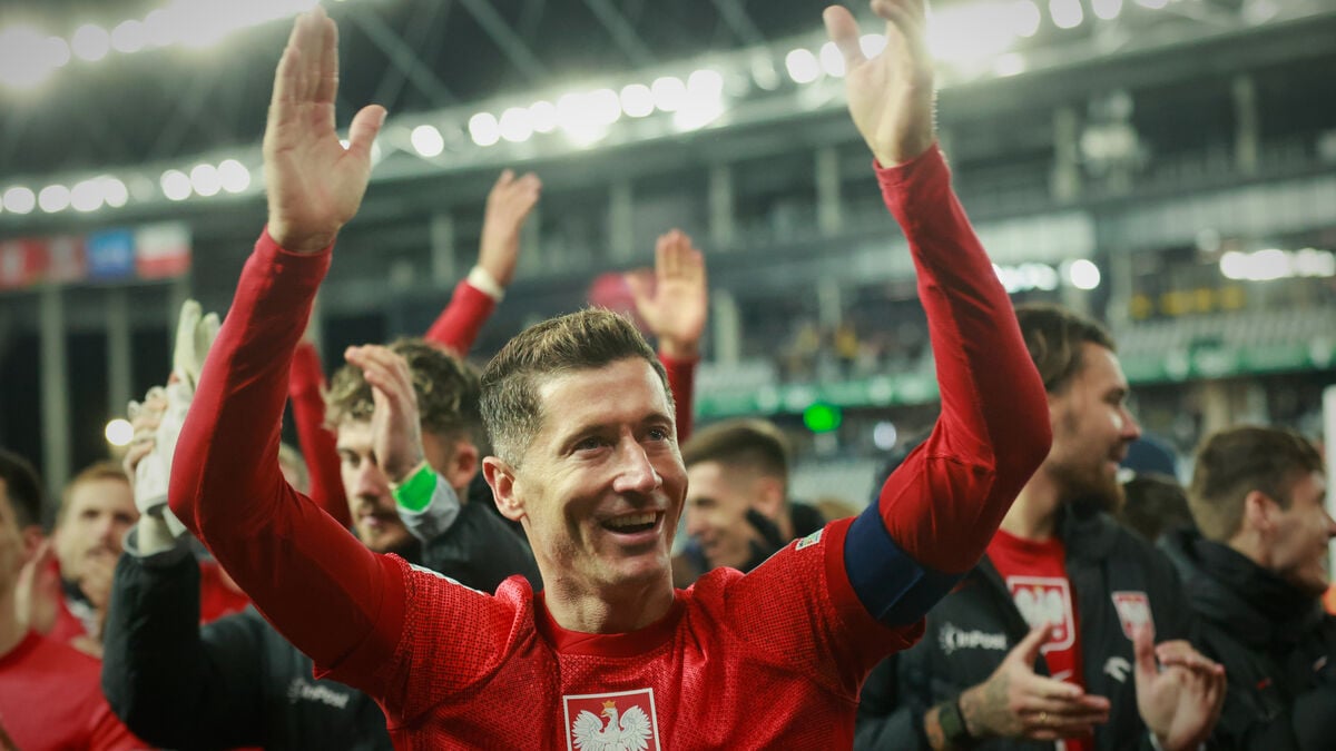 Sweden will face Poland - Lewandowski scores