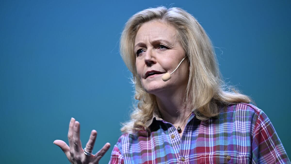 Thand Ringqvist says no referendum on the euro