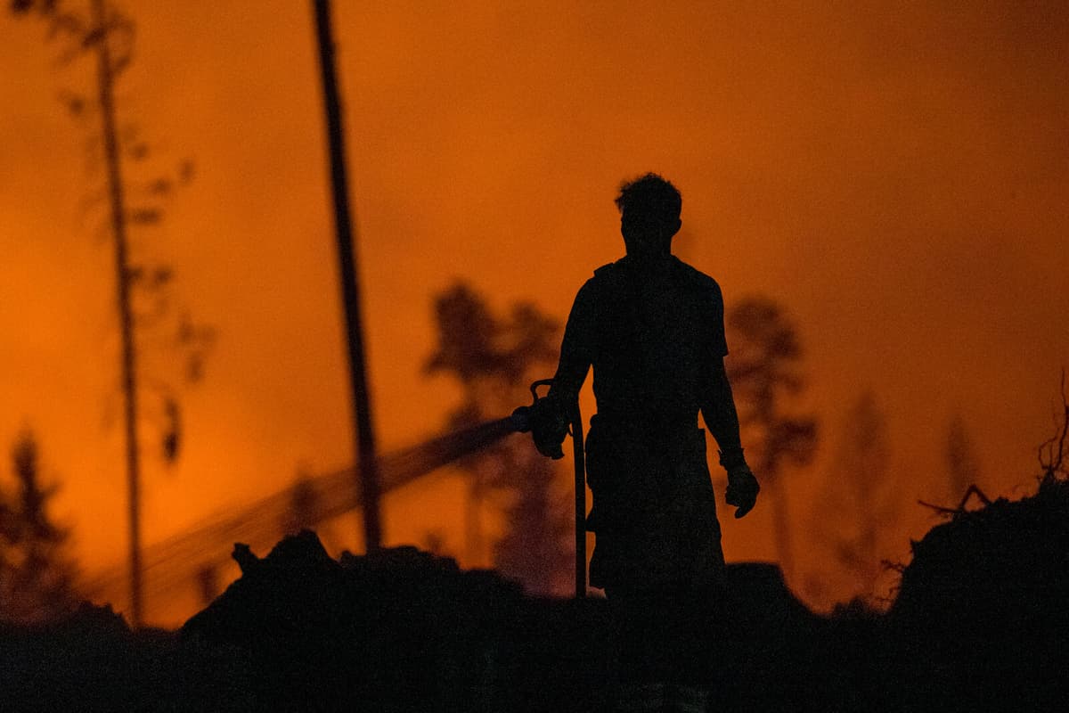 Firefighters Suffer Serious Injuries in Major Eastern Germany Wildfire