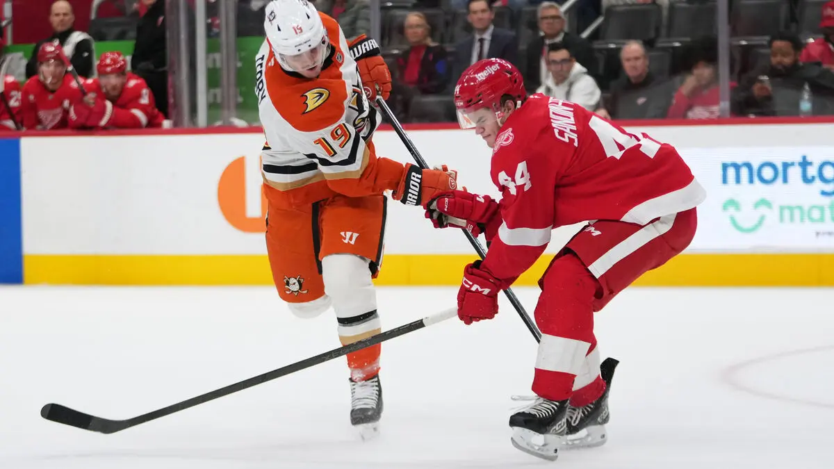 Many Swedish points behind Detroit's victory