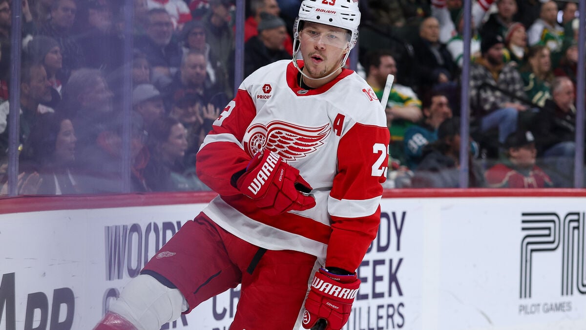Two more NHL goals by hot Raymond