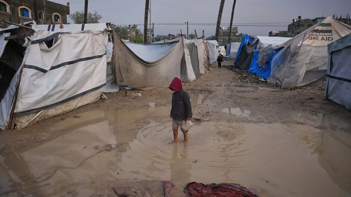 Several dead in heavy rain in Gaza