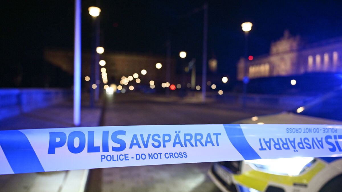Man shot by police outside Stockholm's Royal Palace arrested on weapons charges