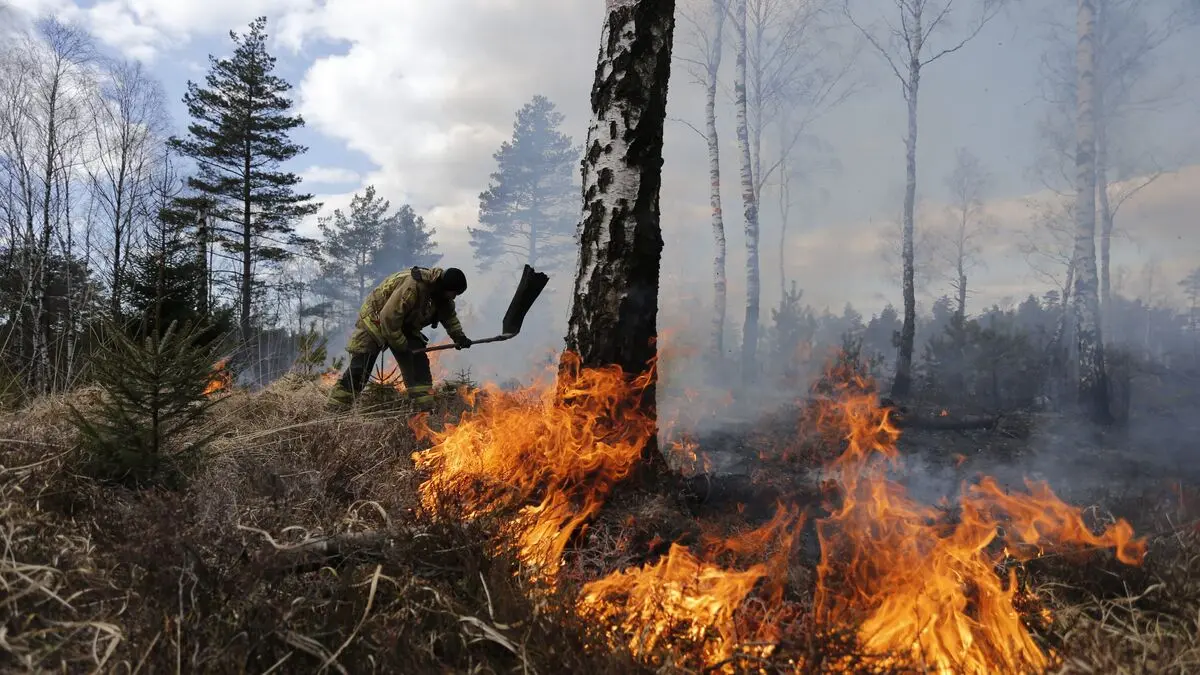 SMHI warns of high risk of grass fires across Sweden