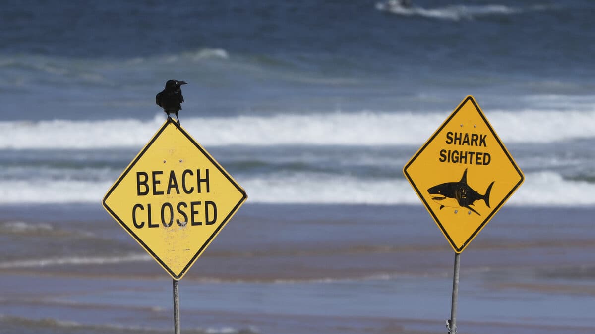 Man in his 50s attacked by shark in Western Australia, taken to hospital