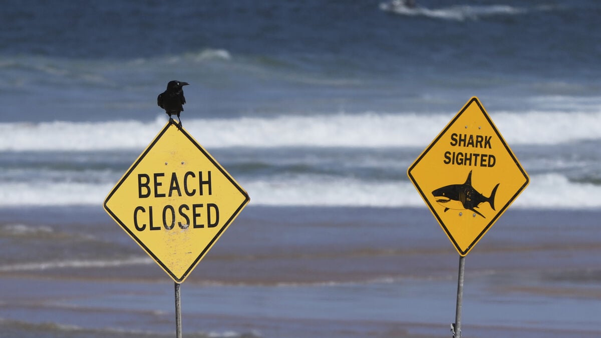 Man in his 50s attacked by shark in Western Australia, taken to hospital