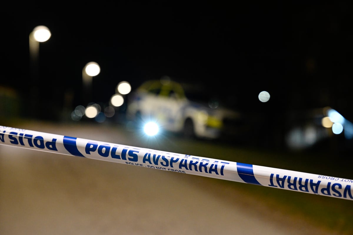 Teenagers Sentenced for Gävle Murder in Sweden