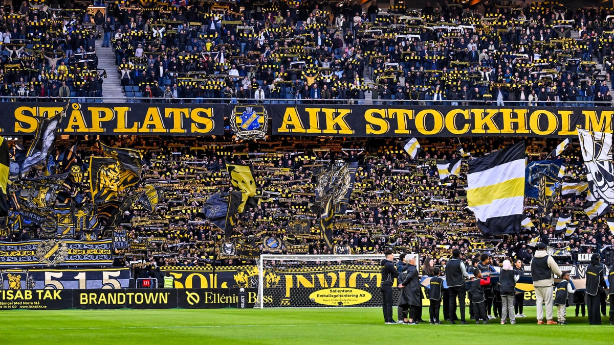 AIK Penalized for Referee Incident Must Install Protective Nets