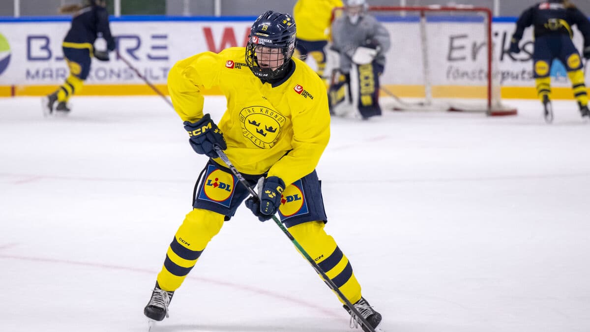 National team star ready for Toronto