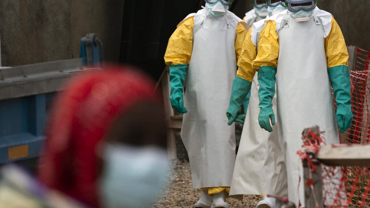 Over 60 dead in Ebola outbreak in Democratic Republic of the Congo, hundreds infected