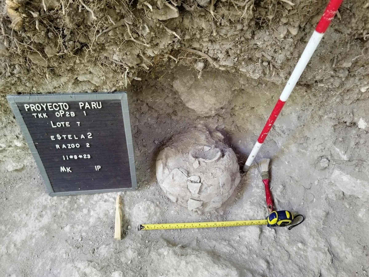 Ancient Mayan City Discovered in Guatemala's Petén Region