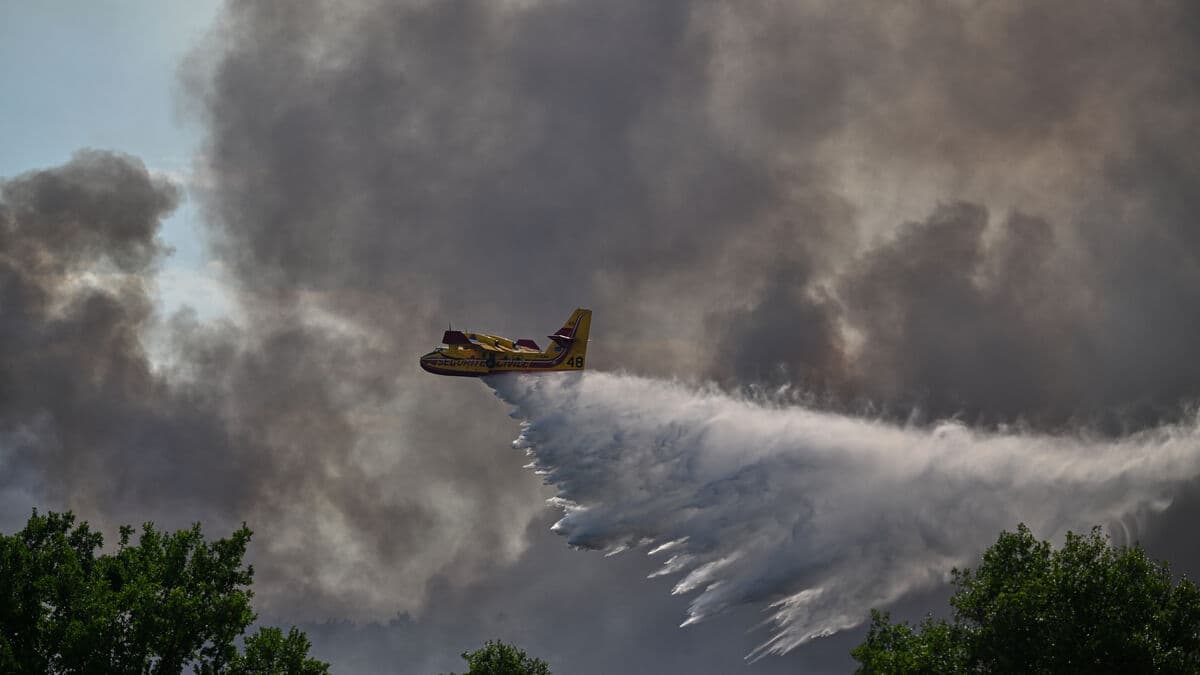Fontainebleau wildfire contained but not extinguished, French officials say