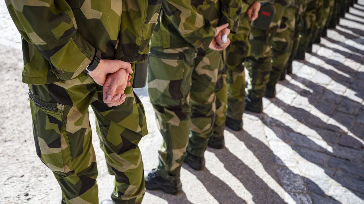 Swedish conscripts in NATO operations to be investigated