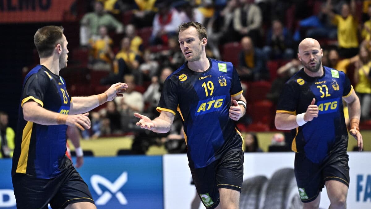 Turkey and Saudi Arabia receive wildcards for next year's Men's Handball World Championship in Germany