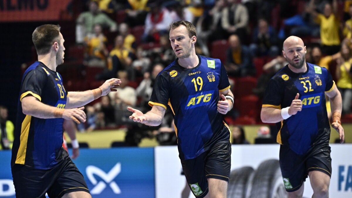 Turkey and Saudi Arabia receive wildcards for next year's Men's Handball World Championship in Germany