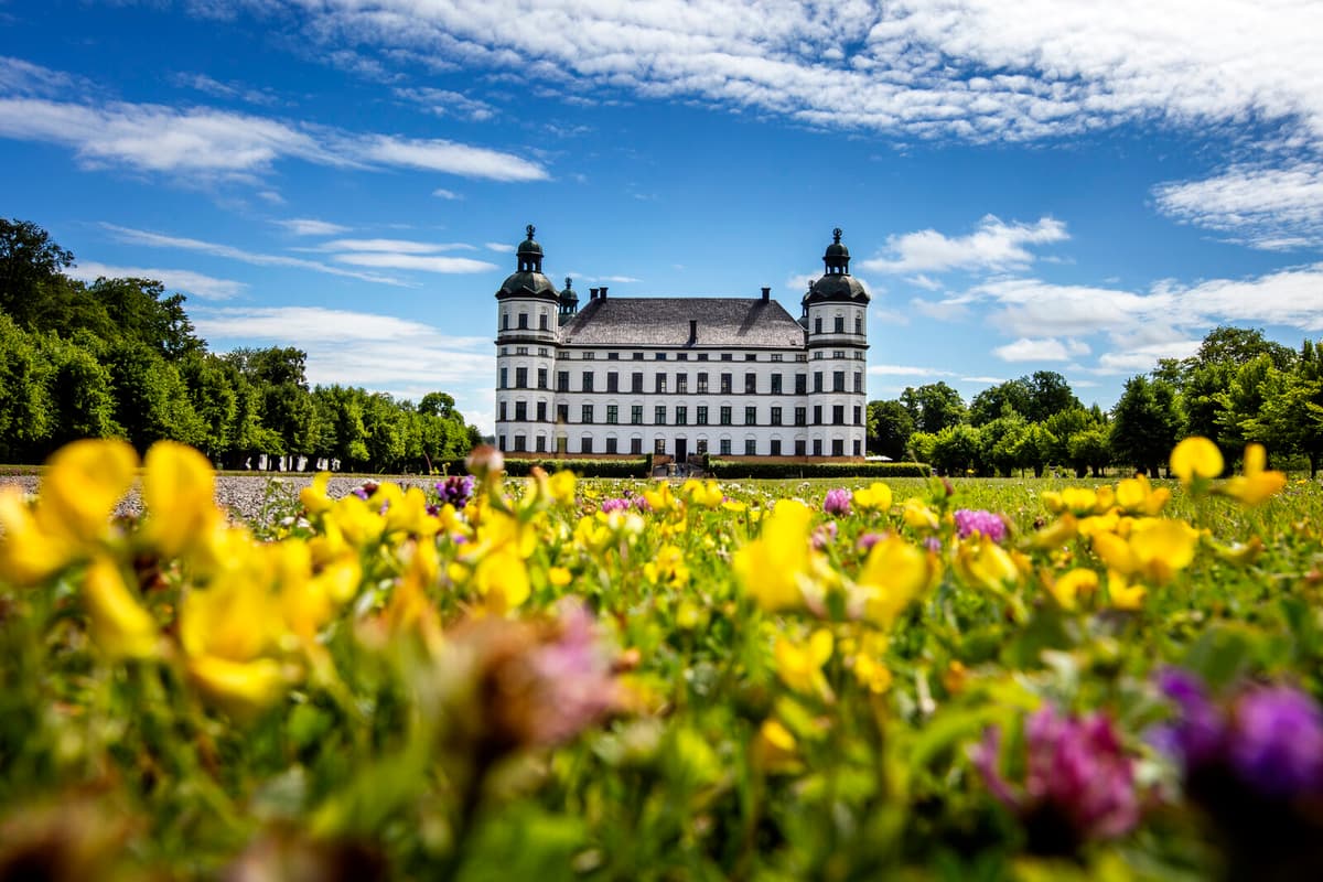 Mold Threatens Danish and Swedish Cultural Heritage in Museums