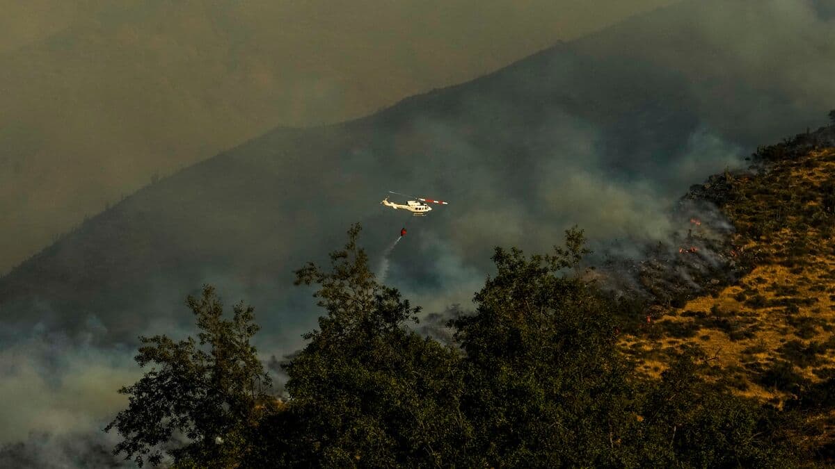 Several dead in forest fires in Chile - 20,000 evacuated