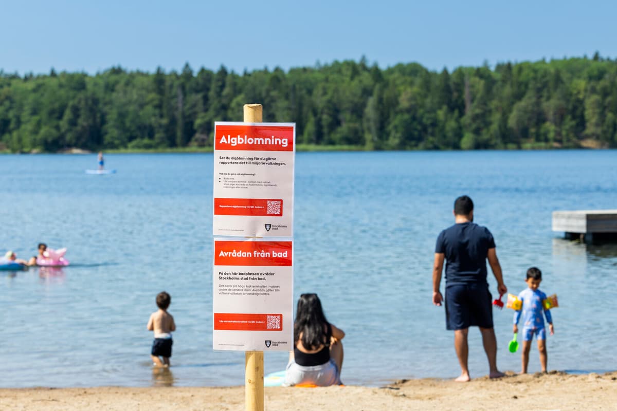 Toxic Algae Threaten Bathing Areas Along Swedish Coastlines