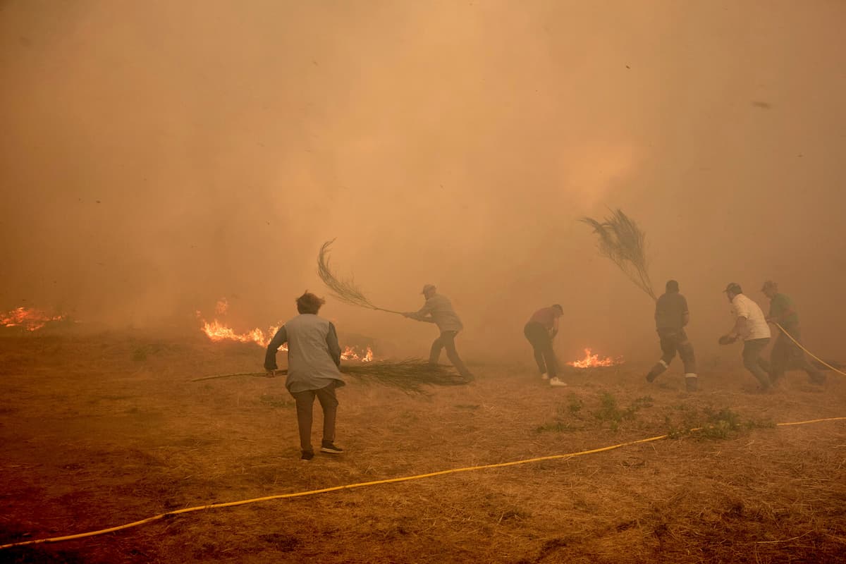 Over 1,100 Dead in Spain's Extreme Heatwave and Wildfires