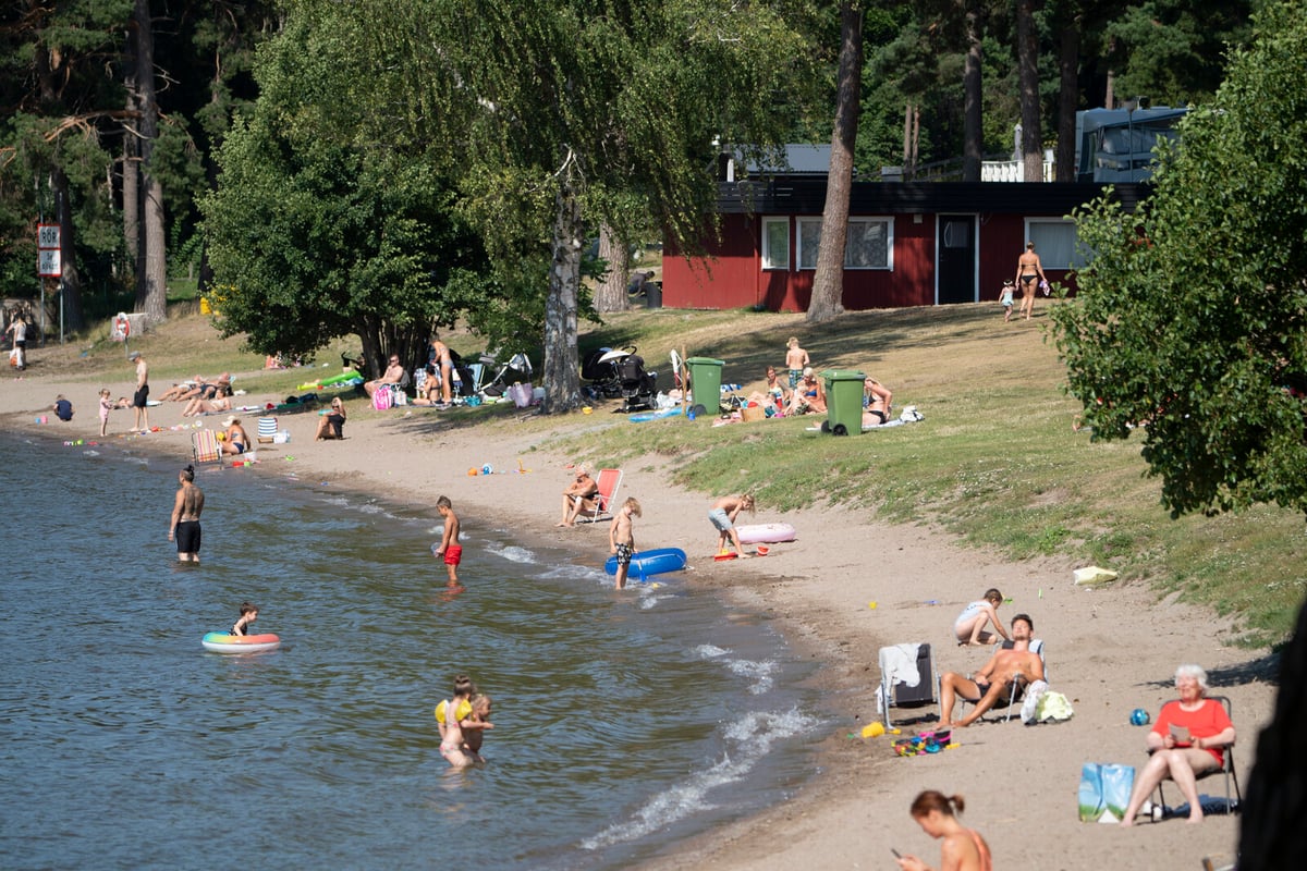 July Drowning Deaths Reach Highest in Years with 30 Fatalities