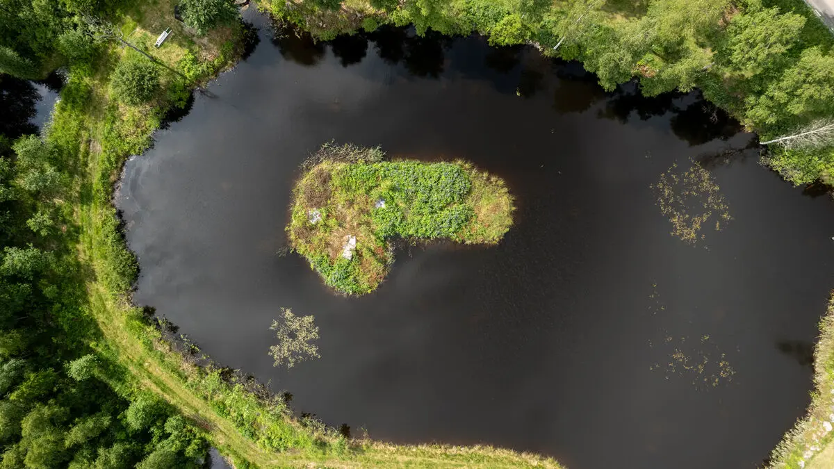 Micael built an island shaped like a penis in Sweden, and it’s gone viral