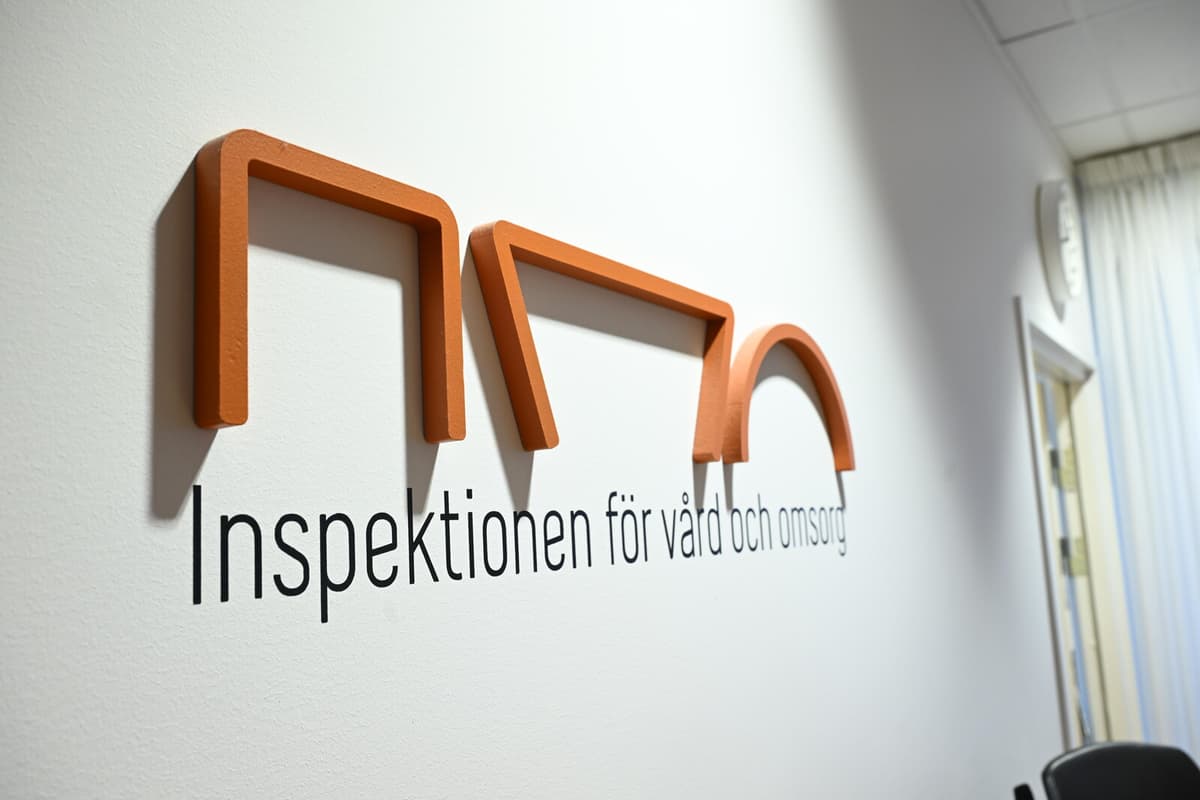 Ivo Data Leak Exposes Sensitive Information Due to Technical Fault