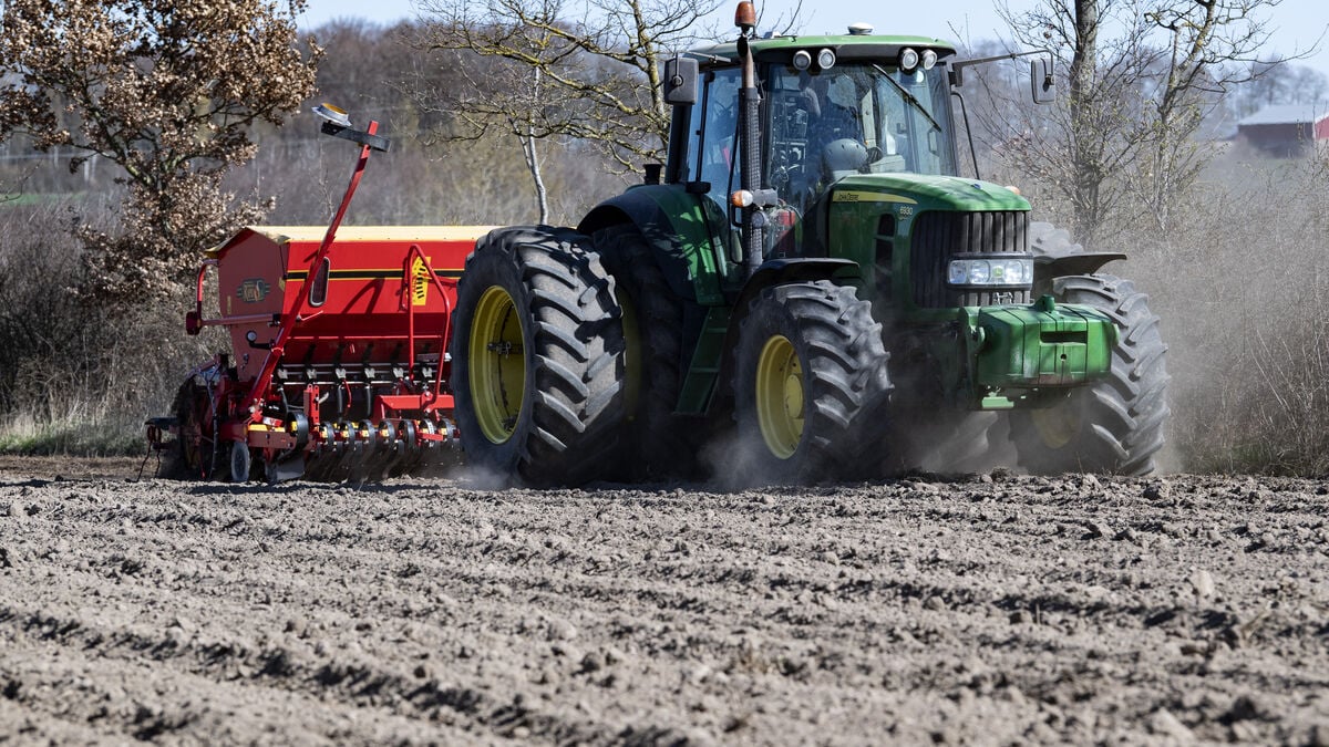 Yara International warns of global fertilizer crisis - food could become more expensive