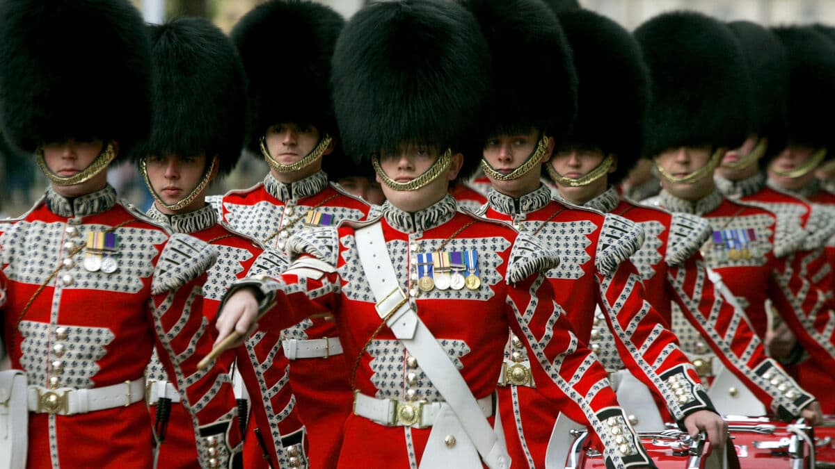 UK MPs call for fake bearskin hats for King’s Guards amid animal welfare concerns