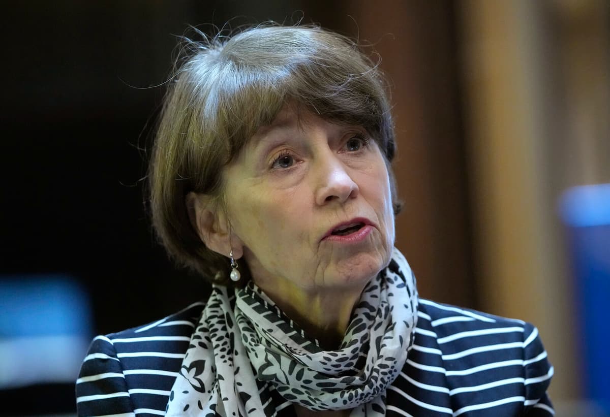 Investigator Recommends Stopping International Adoptions in Sweden