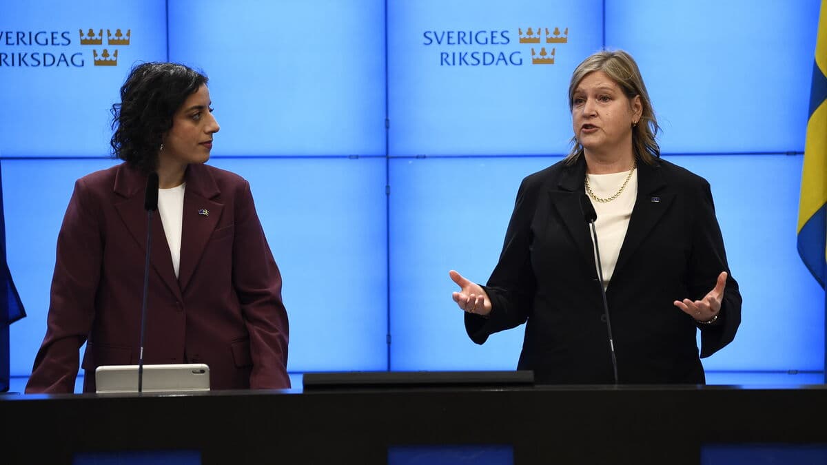 The Liberals want Sweden to be open to borrowing money for the EU's defense