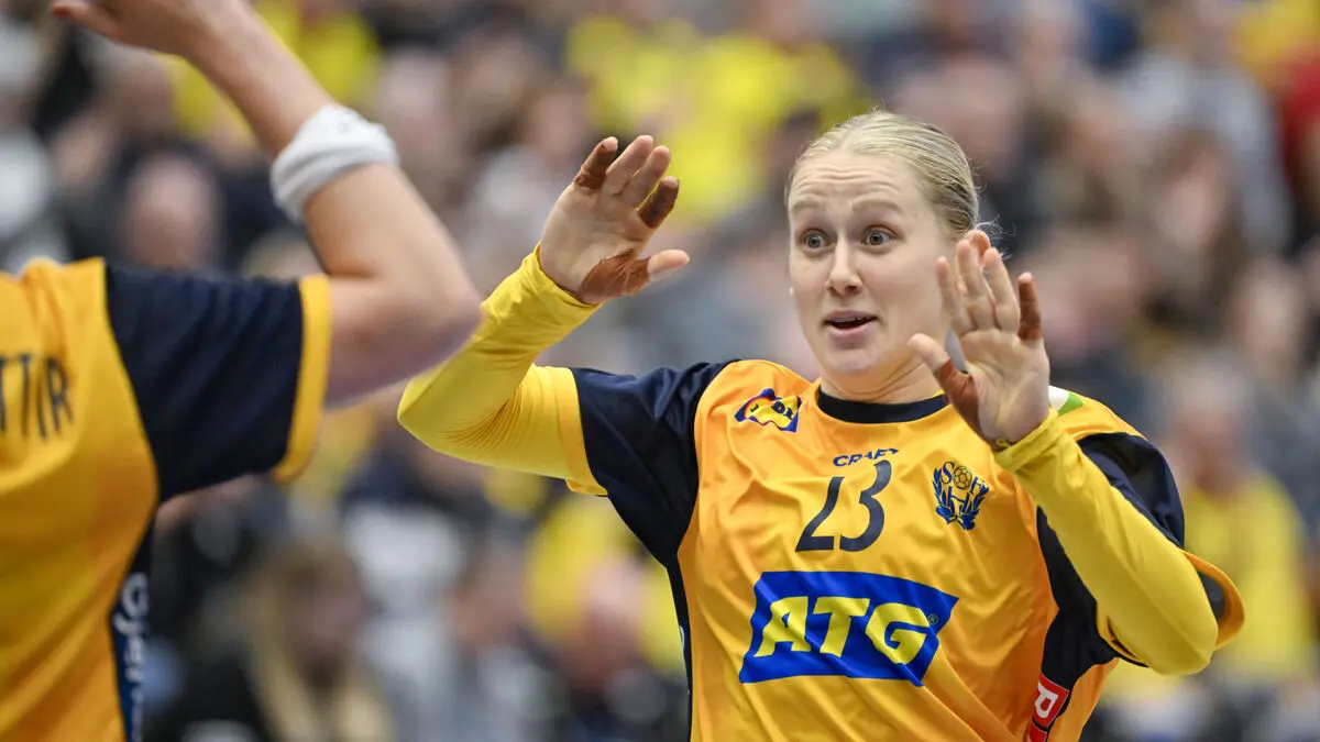 Swedish odd-goal loss in the World Cup qualifier