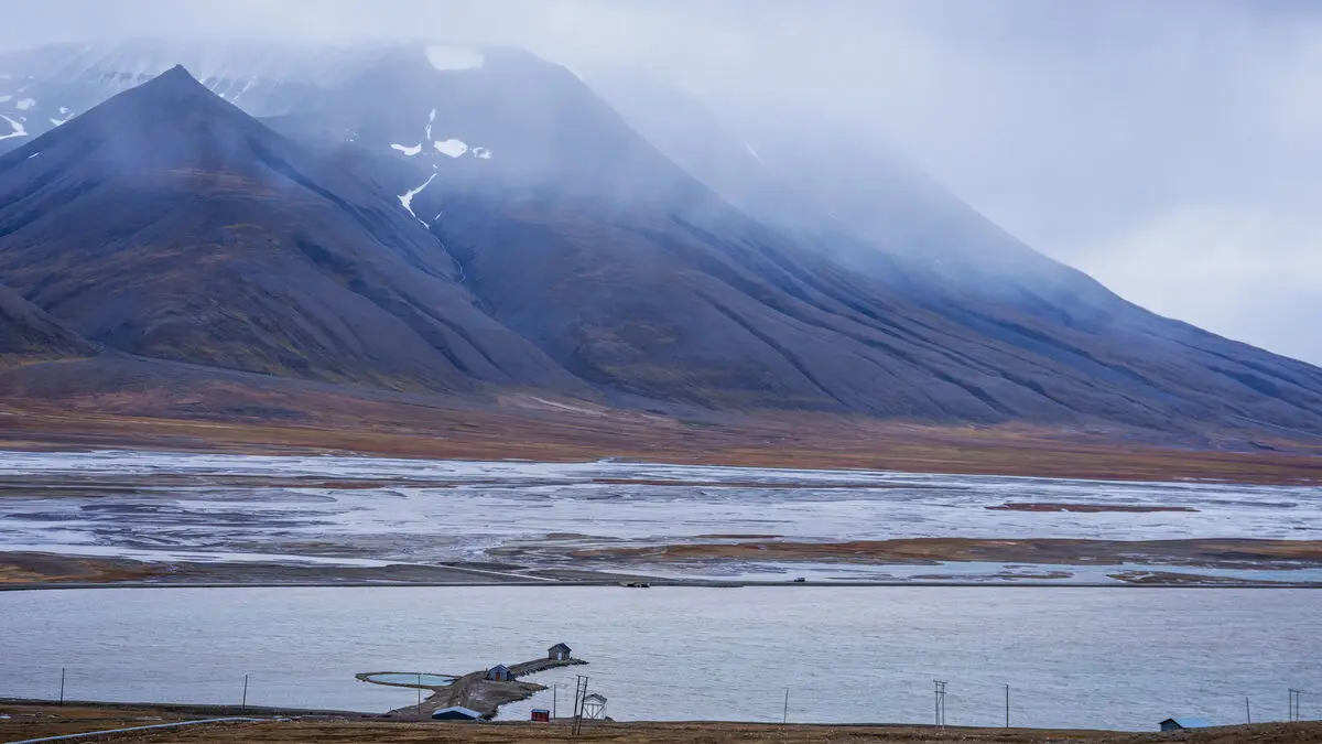 Sources: NATO allies stopped Russian undersea cable sabotage exercise near Svalbard